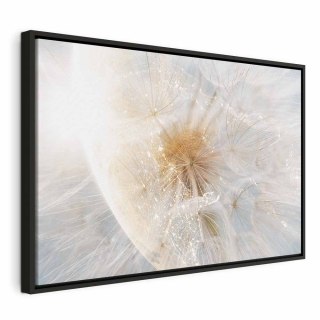 Obraz - Dmuchawiec w słońcu (1-częściowy) szeroki 120x80 W ramie drewnianej czarnej