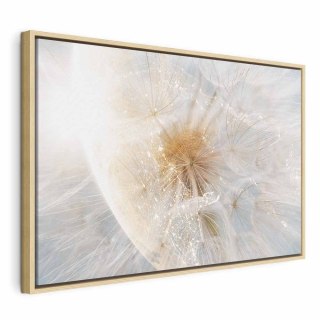 Obraz - Dmuchawiec w słońcu (1-częściowy) szeroki 120x80 W ramie drewnianej naturalnej