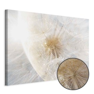 Obraz - Dmuchawiec w słońcu (1-częściowy) szeroki 60x40 Premium Print