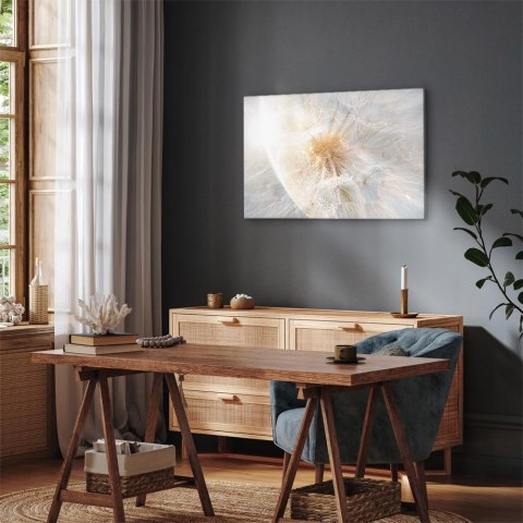Obraz - Dmuchawiec w słońcu (1-częściowy) szeroki 60x40 Premium Print
