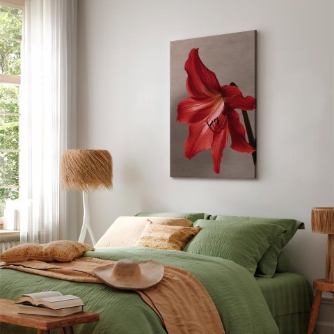 Obraz - Czerwony kwiat (1-częściowy) pionowy 60x90 Standard
