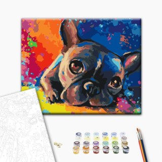 Obraz do samodzielnego malowania - Kolorowy buldog francuski 50x40