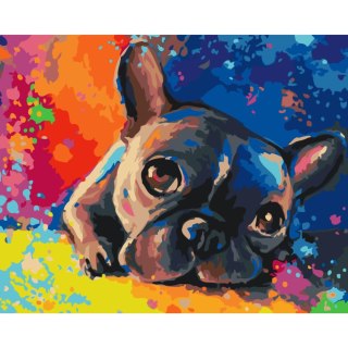 Obraz do samodzielnego malowania - Kolorowy buldog francuski 50x40