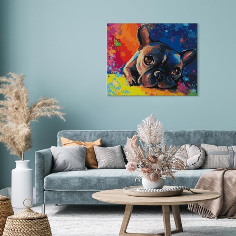 Obraz do samodzielnego malowania - Kolorowy buldog francuski 50x40