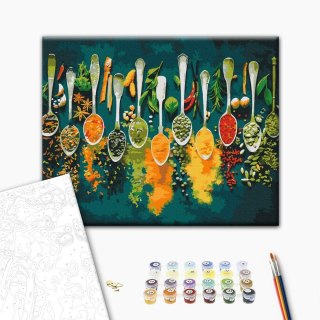 Obraz do samodzielnego malowania - Bogactwo przypraw 50x40