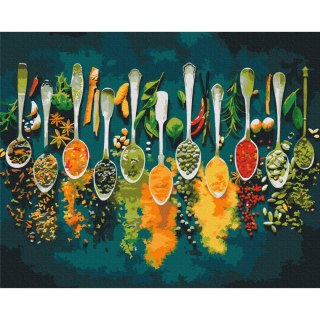 Obraz do samodzielnego malowania - Bogactwo przypraw 50x40