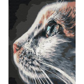 Obraz do samodzielnego malowania - Koci majestat 40x50