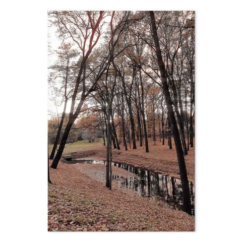 Obraz - Jesienny spacer (1-częściowy) pionowy 20x30 Premium Print