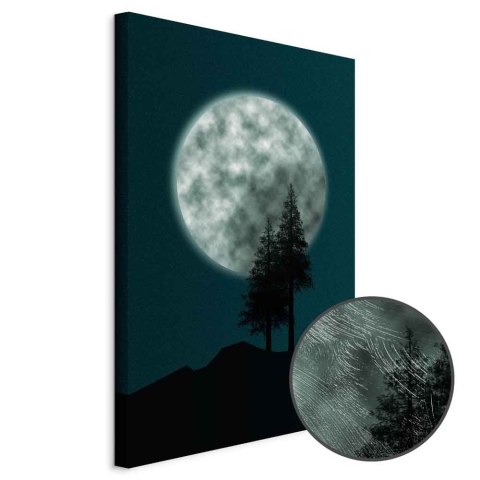 Obraz - Piękna pełnia księżyca (1-częściowy) pionowy 20x30 Premium Print