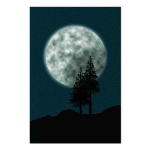 Obraz - Piękna pełnia księżyca (1-częściowy) pionowy 20x30 Premium Print