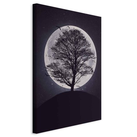 Obraz - Samotne drzewo (1-częściowy) pionowy 20x30 Standard