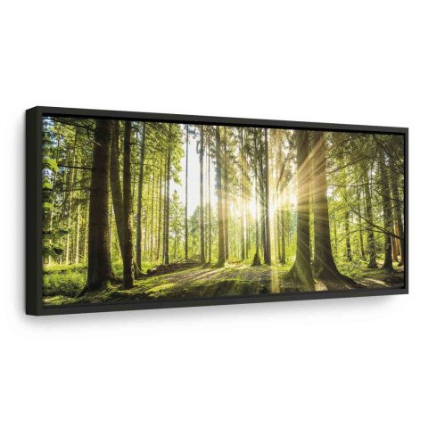 Obraz - Blask dnia 120x40 W ramie drewnianej czarnej