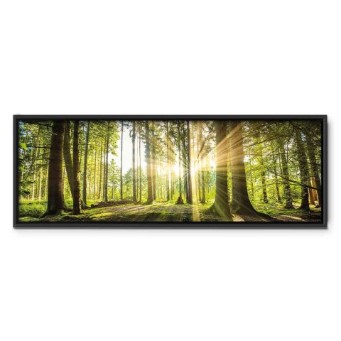 Obraz - Blask dnia 120x40 W ramie drewnianej czarnej