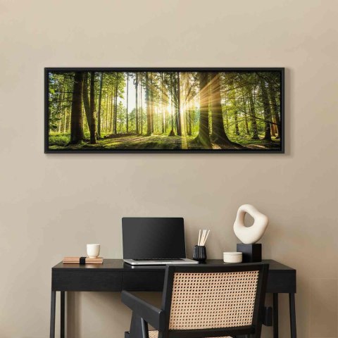 Obraz - Blask dnia 120x40 W ramie drewnianej czarnej