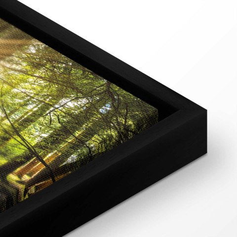 Obraz - Blask dnia 120x40 W ramie drewnianej czarnej