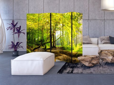 Parawan - Leśna polana II 225x172 Akustyczny