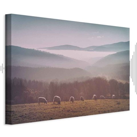 Obraz - Owce na tle górskiego krajobrazu (1-częściowy) - zwierzęta w naturze 30x20 Akustyczny