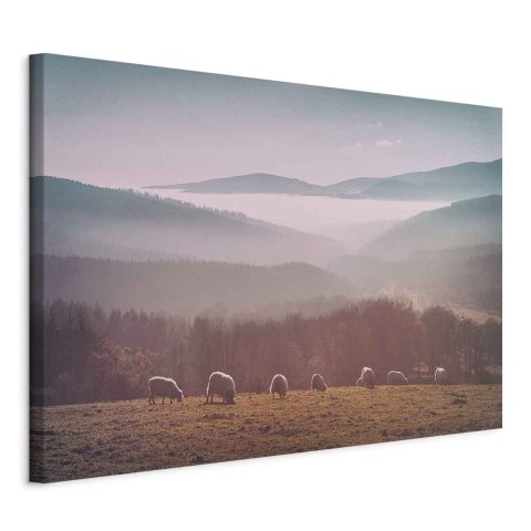 Obraz - Owce na tle górskiego krajobrazu (1-częściowy) - zwierzęta w naturze 60x40 Na płótnie włoskim