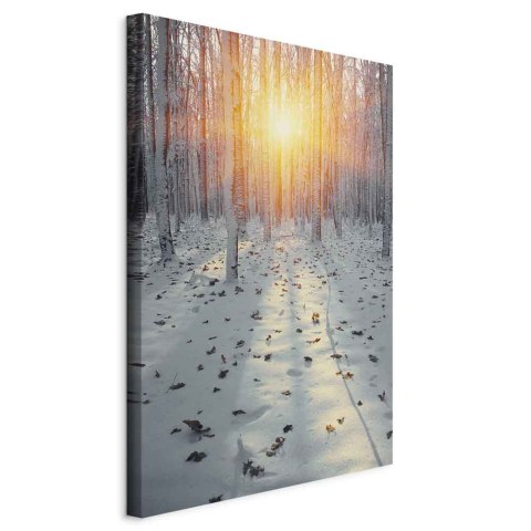Obraz - Zimowe popołudnie (1-częściowy) pionowy 20x30 Standard