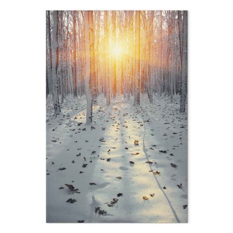 Obraz - Zimowe popołudnie (1-częściowy) pionowy 20x30 Standard