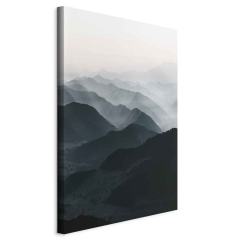 Obraz - Równoległe grzbiety (1-częściowy) pionowy 20x30 Standard