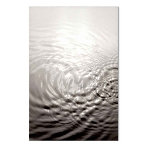 Obraz - Tafla wody (1-częściowy) pionowy 20x30 Premium Print