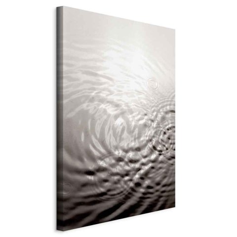 Obraz - Tafla wody (1-częściowy) pionowy 60x90 Standard