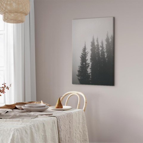 Obraz - Zapach leśnej mgły (1-częściowy) pionowy 20x30 Akustyczny