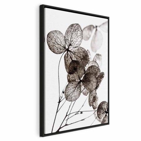 Obraz - Przezroczysta koniczyna (1-częściowy) pionowy 40x60 W ramie drewnianej czarnej