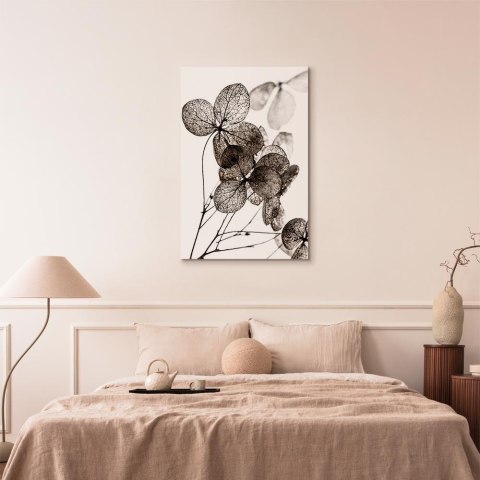 Obraz - Przezroczysta koniczyna (1-częściowy) pionowy 60x90 Akustyczny