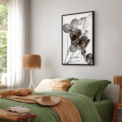 Obraz - Przezroczysta koniczyna (1-częściowy) pionowy 60x90 W ramie drewnianej czarnej