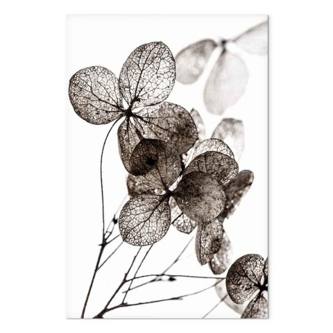 Obraz - Przezroczysta koniczyna (1-częściowy) pionowy 80x120 Akustyczny