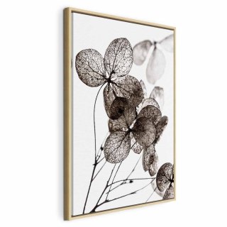 Obraz - Przezroczysta koniczyna (1-częściowy) pionowy 80x120 W ramie drewnianej naturalnej