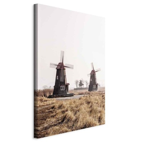 Obraz - Drewniany wiatrak (1-częściowy) pionowy 60x90 Standard