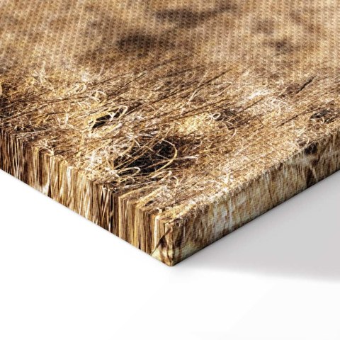 Obraz - Drewniany wiatrak (1-częściowy) pionowy 60x90 Standard