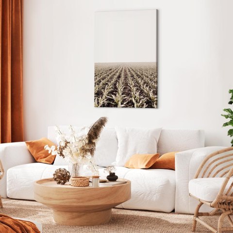 Obraz - Pole kukurydzy (1-częściowy) pionowy 20x30 Akustyczny