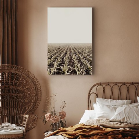Obraz - Pole kukurydzy (1-częściowy) pionowy 20x30 Akustyczny