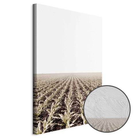 Obraz - Pole kukurydzy (1-częściowy) pionowy 20x30 Premium Print