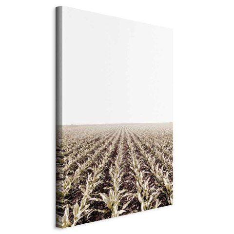 Obraz - Pole kukurydzy (1-częściowy) pionowy 40x60 Standard