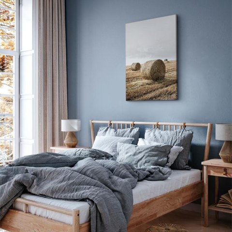 Obraz - Siano (1-częściowy) pionowy 20x30 Akustyczny