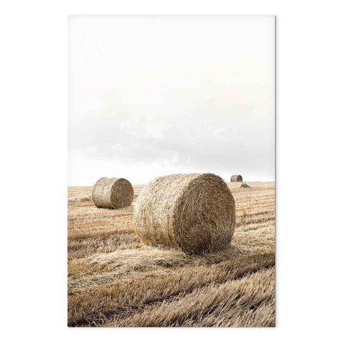 Obraz - Siano (1-częściowy) pionowy 20x30 Standard