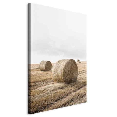 Obraz - Siano (1-częściowy) pionowy 40x60 Standard