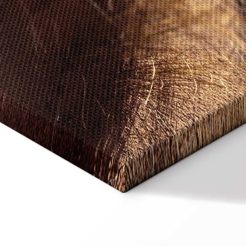 Obraz - Drżące szepty (1-częściowy) pionowy 40x60 Standard