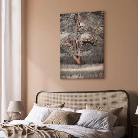 Obraz - Moja historia (1-częściowy) pionowy 20x30 Na płótnie włoskim