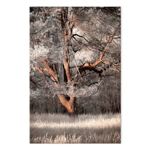 Obraz - Moja historia (1-częściowy) pionowy 20x30 Premium Print