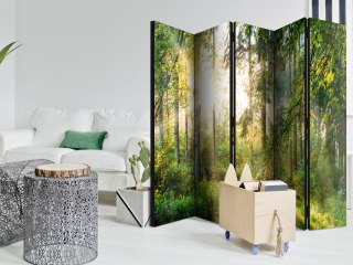 Parawan - Nieujarzmiona przyroda II 225x172 Akustyczny