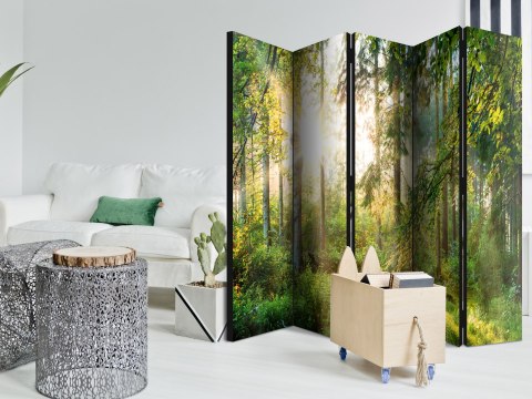 Parawan - Nieujarzmiona przyroda II 225x172 Akustyczny
