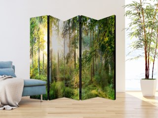 Parawan - Nieujarzmiona przyroda II 225x172 Akustyczny