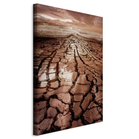 Obraz - Susza (1-częściowy) pionowy 20x30 Na płótnie włoskim