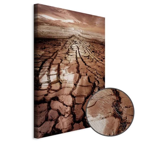 Obraz - Susza (1-częściowy) pionowy 20x30 Premium Print